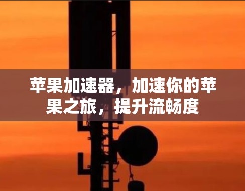 苹果加速器,加速你的苹果之旅,提升流畅度