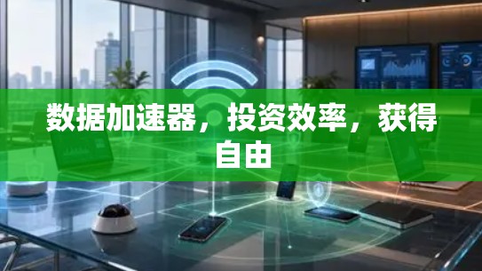 数据加速器,投资效率,获得自由