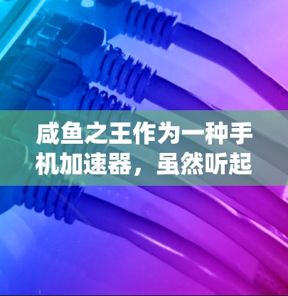 咸鱼之王作为一种手机加速器，虽然听起来像是一种快速提升手机性能的工具，但它的实际效果和使用体验并不理想。以下是对该加速器的系统性和使用方面的分析