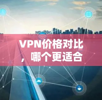 VPN价格对比,哪个更适合你的需求?