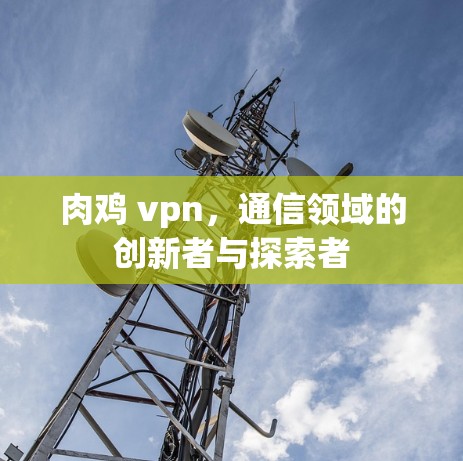 肉鸡 vpn,通信领域的创新者与探索者