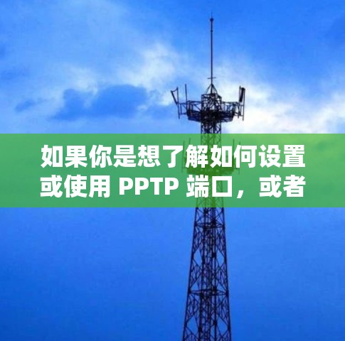 如果你是想了解如何设置或使用 PPTP 端口，或者有其他相关问题，请提供更多上下文信息，我会尽力帮助你