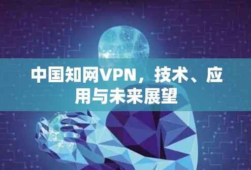 中国知网VPN,技术、应用与未来展望
