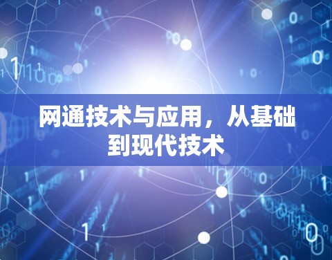 网通技术与应用，从基础到现代技术