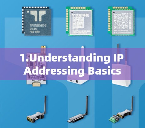 1.Understanding IP Addressing Basics 1.Understanding IP Addressing Basics