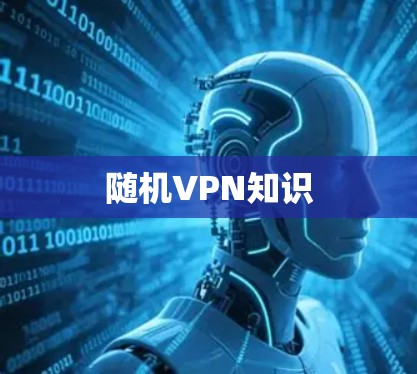 随机VPN知识 随机VPN知识