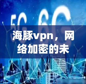 海豚vpn，网络加密的未来