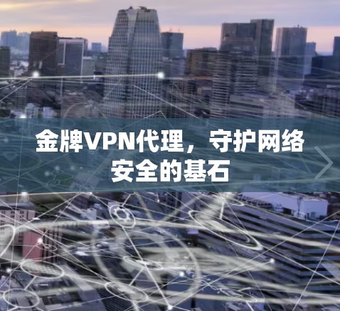 金牌VPN代理,守护网络安全的基石 金牌VPN代理,守护网络安全的基石