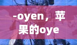 -oyen，苹果的oyen应用程序是安卓版的谷歌VPN，支持多种加密方式，适合个人用户和企业用户