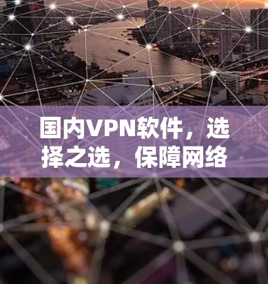 国内VPN软件，选择之选，保障网络安全