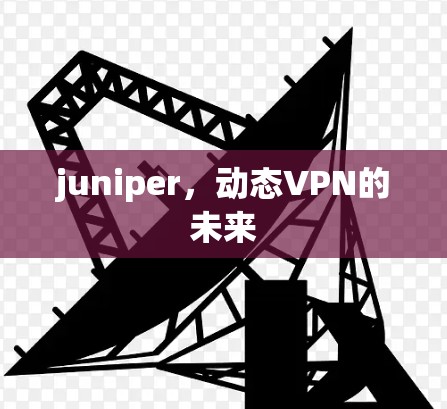 juniper，动态VPN的未来