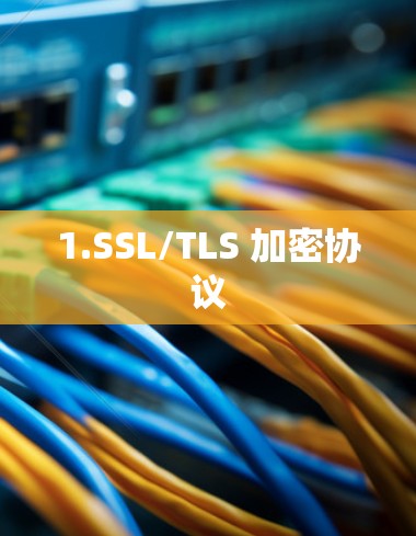 1.SSL/TLS 加密协议 1.SSL/TLS 加密协议