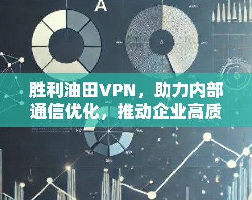 胜利油田VPN,助力内部通信优化,推动企业高质量发展 胜利油田VPN,助力内部通信优化,推动企业高质量发展