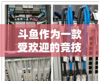 斗鱼作为一款受欢迎的竞技类游戏,吸引了大量粉丝。为了保护主播的安全和游戏体验,选择一个可靠VPN服务是必要的。以下是一些关于如何选择和使用斗鱼主播VPN的建议 斗鱼作为一款受欢迎的竞技类游戏,吸引了大量粉丝。为了保护主播的安全和游戏体验,选择一个可靠VPN服务是必要的。以下是一些关于如何选择和使用斗鱼主播VPN的建议