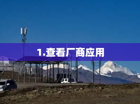 1.查看厂商应用 1.查看厂商应用