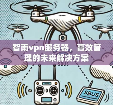 智雨vpn服务器，高效管理的未来解决方案