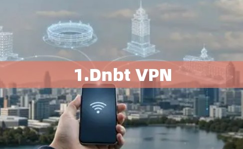 1.Dnbt VPN 1.Dnbt VPN