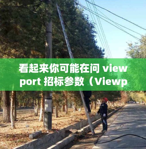 看起来你可能在问 viewport 招标参数(Viewport Parameters)或者是VPN(VPS)的某些参数。以下是我对相关问题的解释 看起来你可能在问 viewport 招标参数(Viewport Parameters)或者是VPN(VPS)的某些参数。以下是我对相关问题的解释