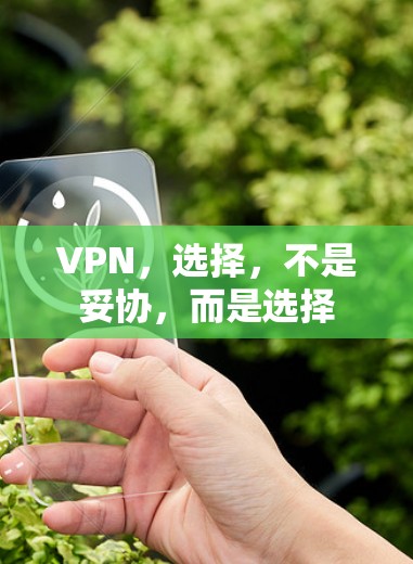 VPN，选择，不是妥协，而是选择