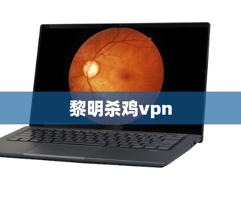 黎明杀鸡vpn 黎明杀鸡vpn