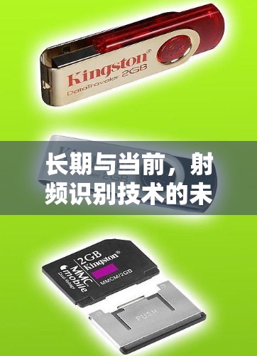 长期与当前，射频识别技术的未来