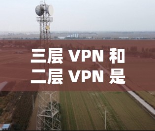 三层 VPN 和二层 VPN 是VPN构建中的两个关键层,具体区别如下 三层 VPN 和二层 VPN 是VPN构建中的两个关键层,具体区别如下
