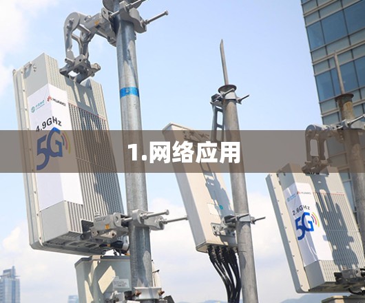 1.网络应用 1.网络应用