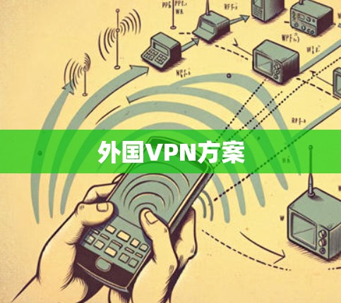 外国VPN方案 外国VPN方案