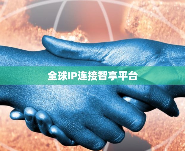 全球IP连接智享平台 全球IP连接智享平台