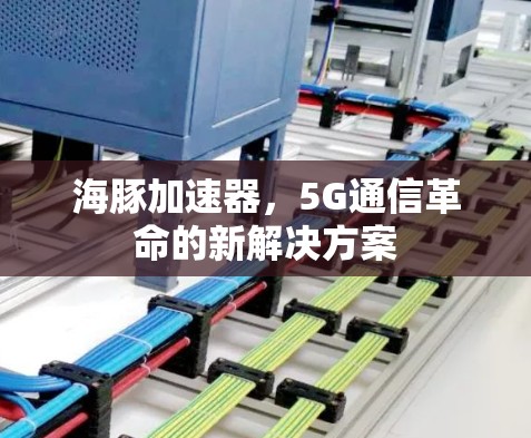海豚加速器，5G通信革命的新解决方案