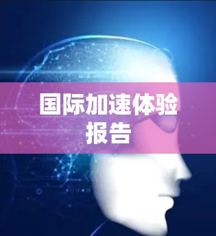 国际加速体验报告