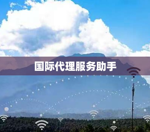 国际代理服务助手