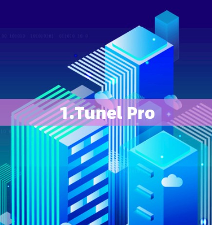 1.Tunel Pro 1.Tunel Pro
