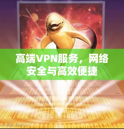 高端VPN服务,网络安全与高效便捷 高端VPN服务,网络安全与高效便捷
