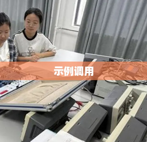 示例调用