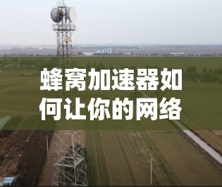 蜂窝加速器如何让你的网络速度更快