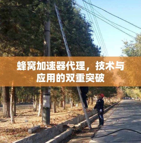 蜂窝加速器代理，技术与应用的双重突破