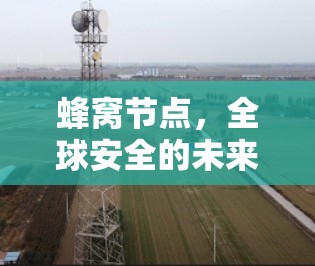 蜂窝节点，全球安全的未来