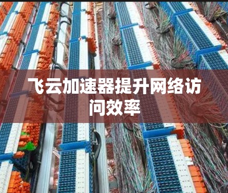飞云加速器提升网络访问效率