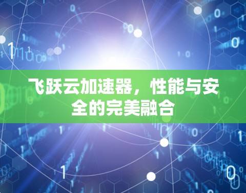 飞跃云加速器，性能与安全的完美融合