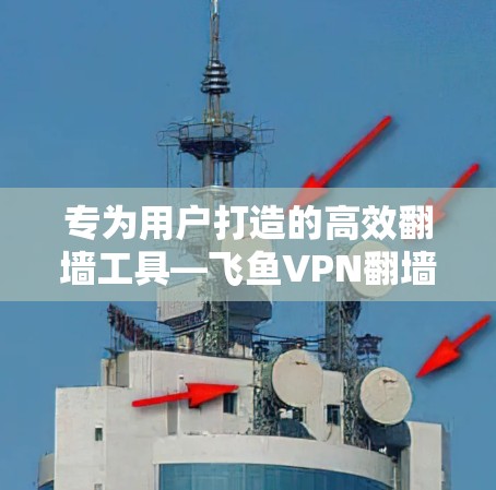 专为用户打造的高效翻墙工具—飞鱼VPN翻墙软件 专为用户打造的高效翻墙工具—飞鱼VPN翻墙软件