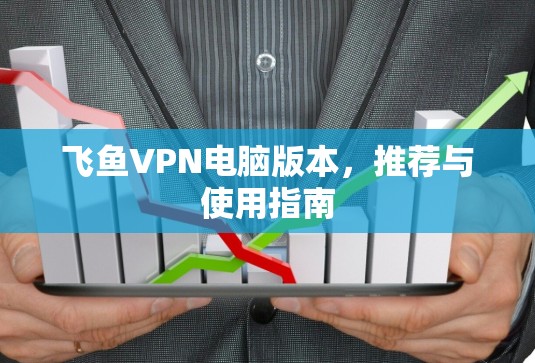 飞鱼VPN电脑版本，推荐与使用指南