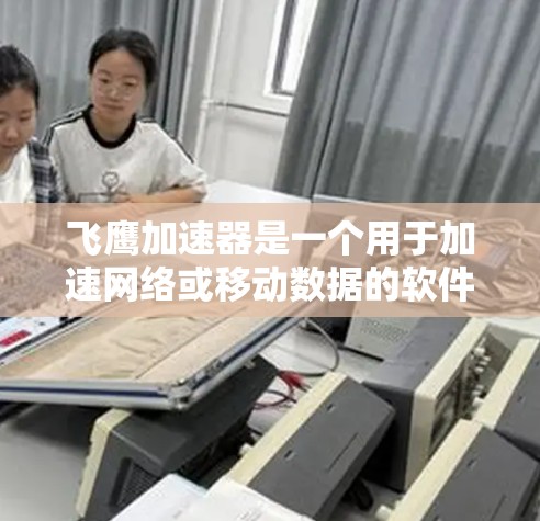 飞鹰加速器是一个用于加速网络或移动数据的软件，通常用于提升数据传输速度。以下是一个有条理的步骤指南，帮助你决定是否下载并顺利安装该软件