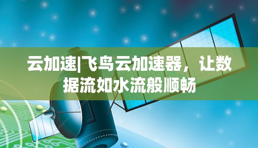 云加速|飞鸟云加速器,让数据流如水流般顺畅 云加速|飞鸟云加速器,让数据流如水流般顺畅