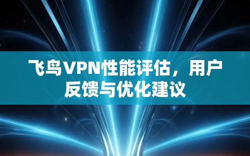 飞鸟VPN性能评估,用户反馈与优化建议 飞鸟VPN性能评估,用户反馈与优化建议