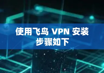 使用飞鸟 VPN 安装步骤如下 使用飞鸟 VPN 安装步骤如下