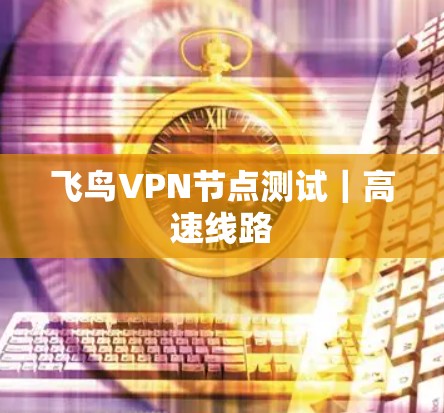 飞鸟VPN节点测试｜高速线路