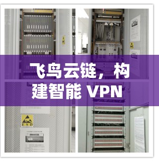 飞鸟云链，构建智能 VPN 网络