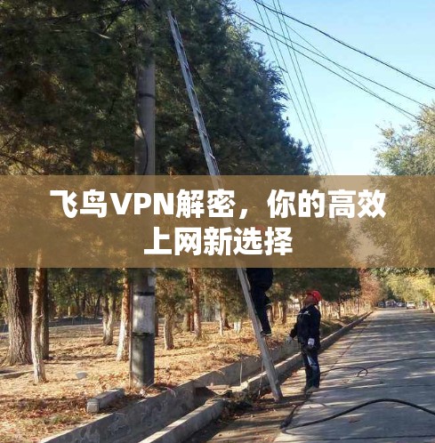 飞鸟VPN解密，你的高效上网新选择