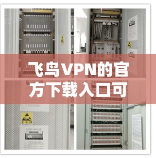 飞鸟VPN的官方下载入口可以通过以下步骤访问 飞鸟VPN的官方下载入口可以通过以下步骤访问